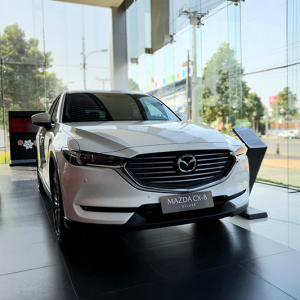 Lắp cửa hít Scar cho Mazda CX8