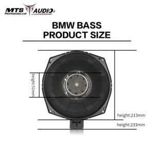 Loa Sub gầm ghế theo xe Vinfast MTS-Bmw-special-bass
