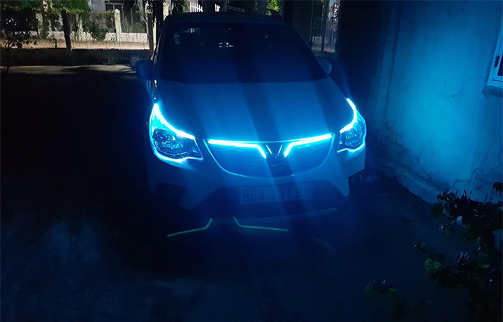 Led cánh chim, led logo