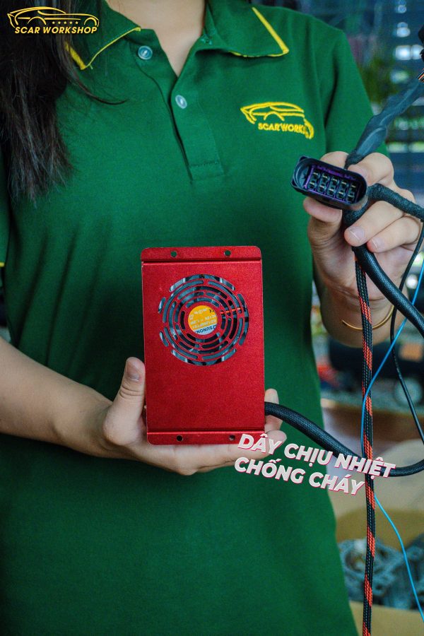 scb3