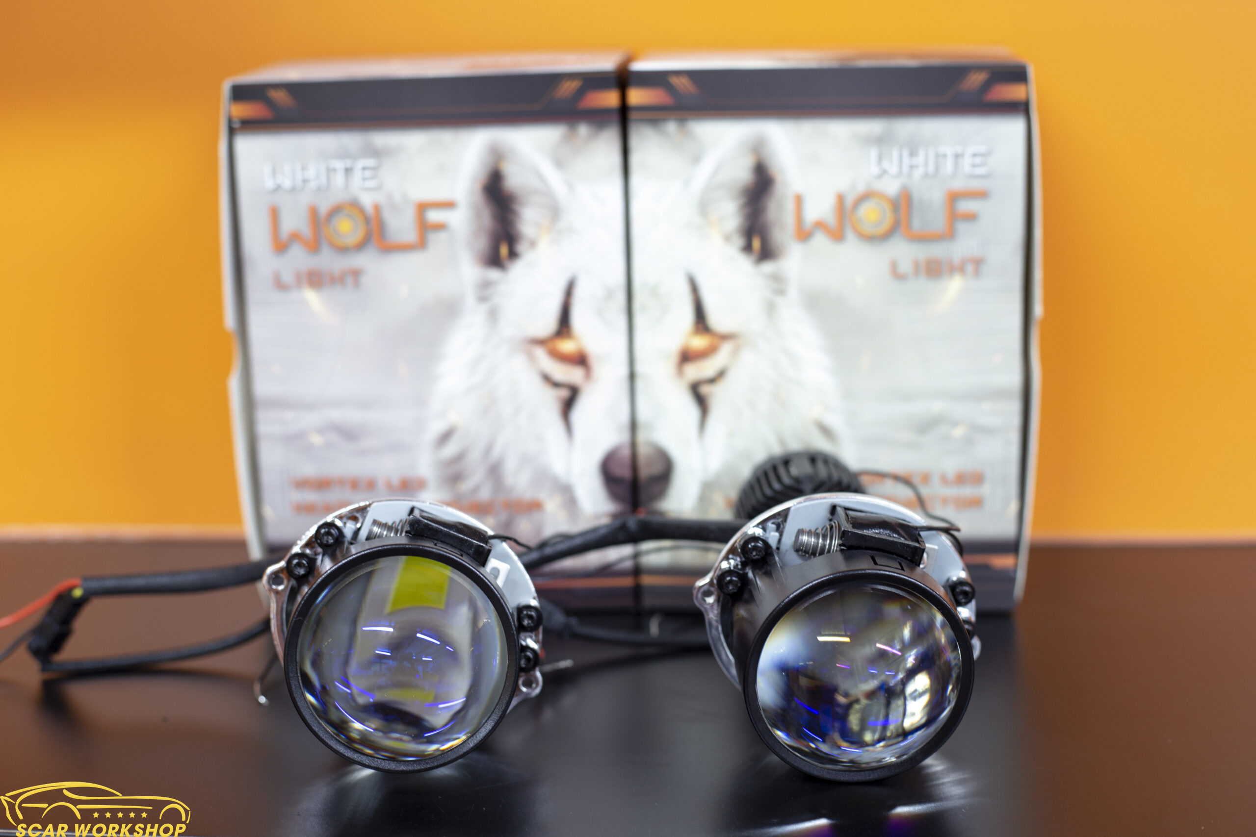 Đôi mắt mãnh thú từ Aozoom Đôi mắt mãnh thú từ Aozoom