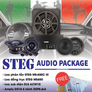 Combo Độ Loa STEG AUDIO PACKAGE(+Amly DS18+Loa ME-650C lll+Loa MS650+Sub điện DLS ACW10)